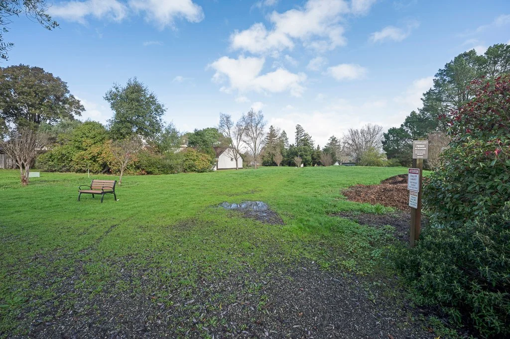 Open grassy park with a single bench, trees, and a partly cloudy sky.