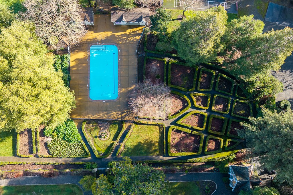 Aerial view of a backyard with a swimming pool, garden beds, and manicured hedges, surrounded by trees and neighboring houses.
