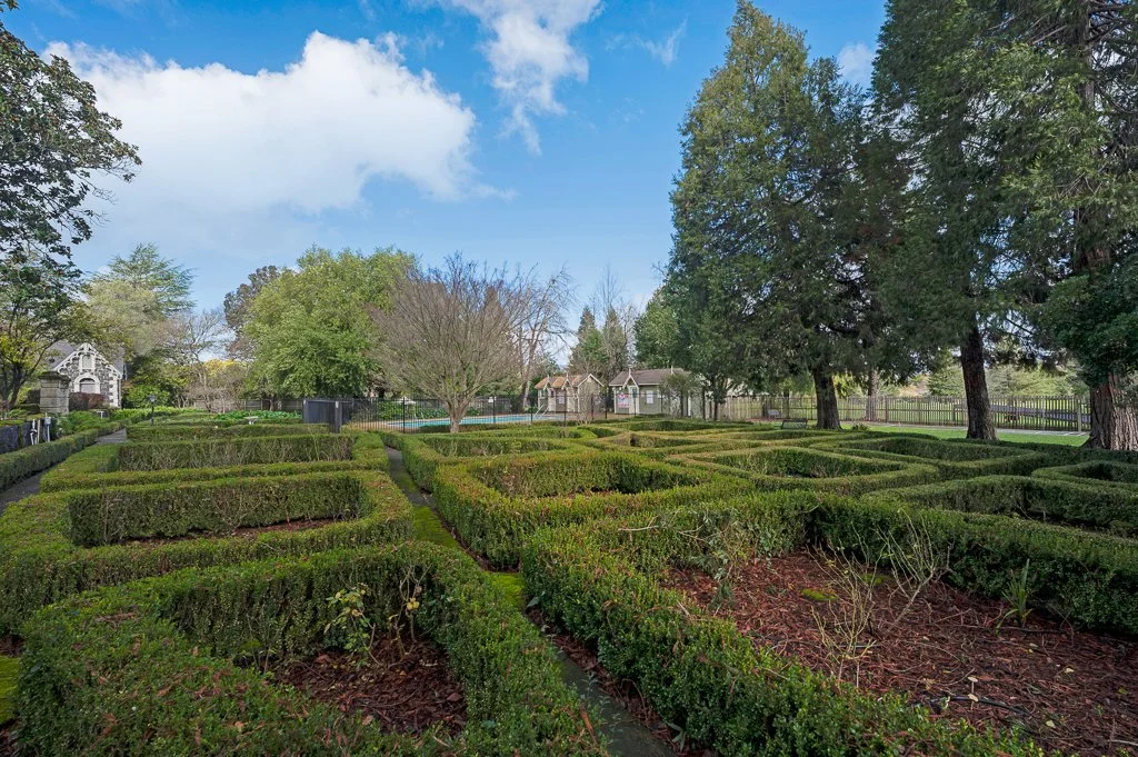 A neatly trimmed hedge maze in a park with trees, residential buildings, a blue sky, and some clouds in the background.