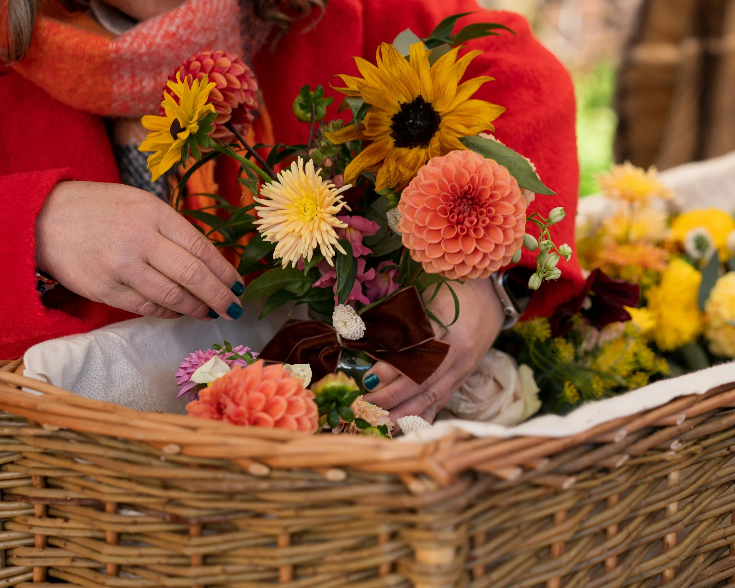 Close-up of a person's hands arranging a bouquet of colorful flowers, including sunflowers, dahlias, and other blooms, inside a wicker  funeral basket. Funeral flowers for woodland or choice burials