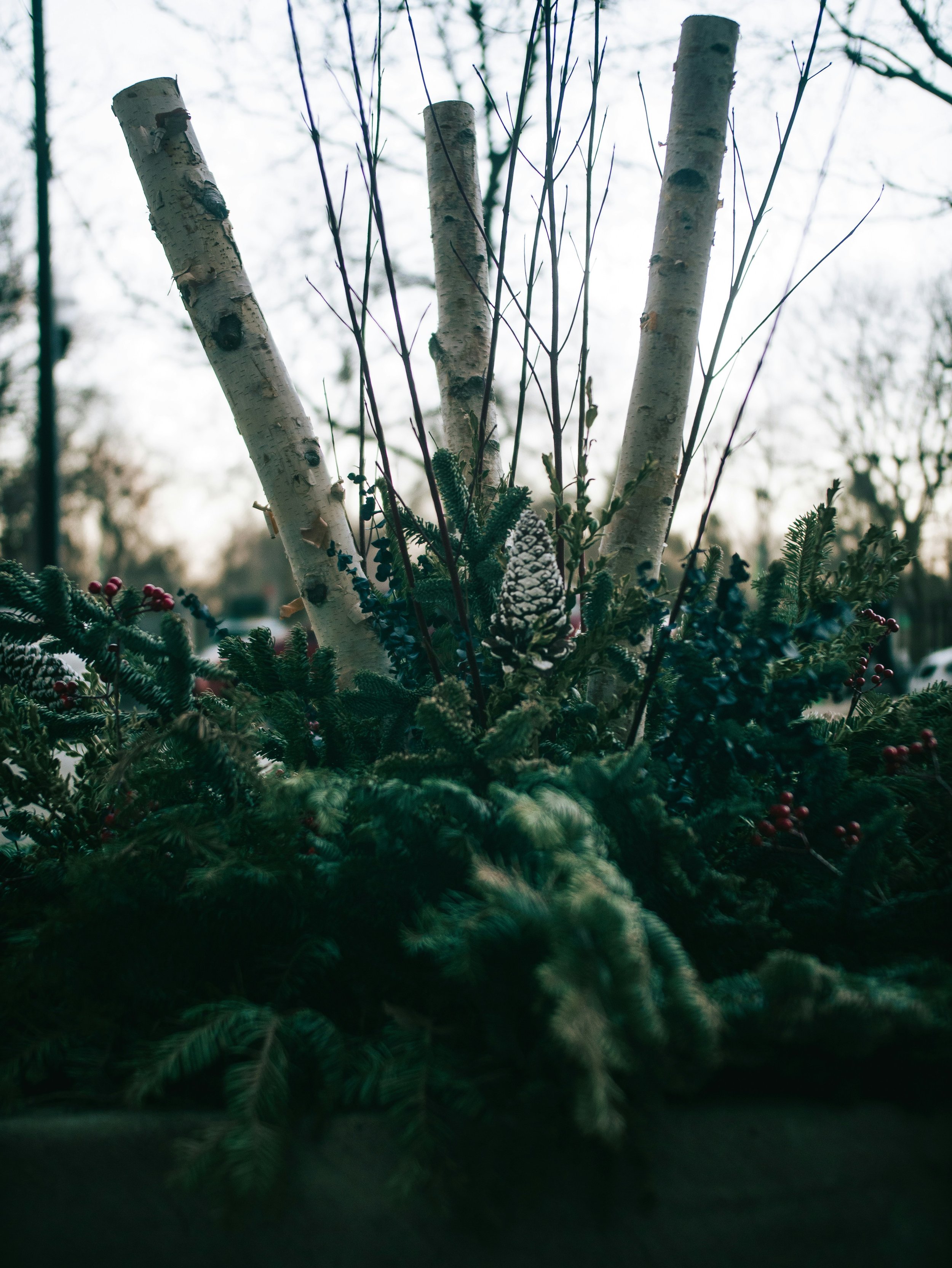 luxury home christmas decor