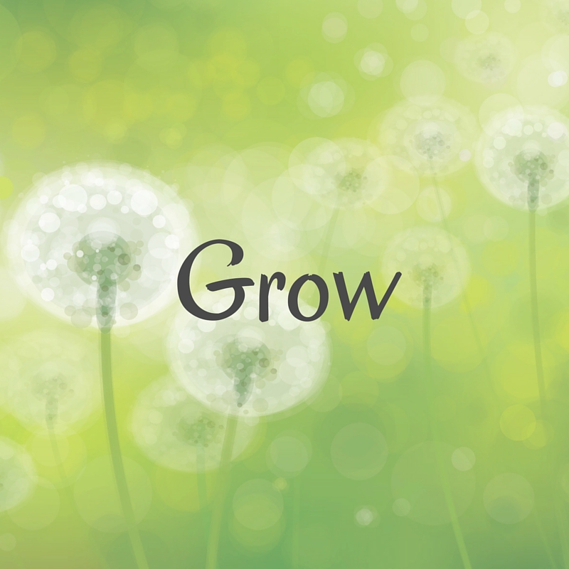 {Five Minute Friday | Grow}
