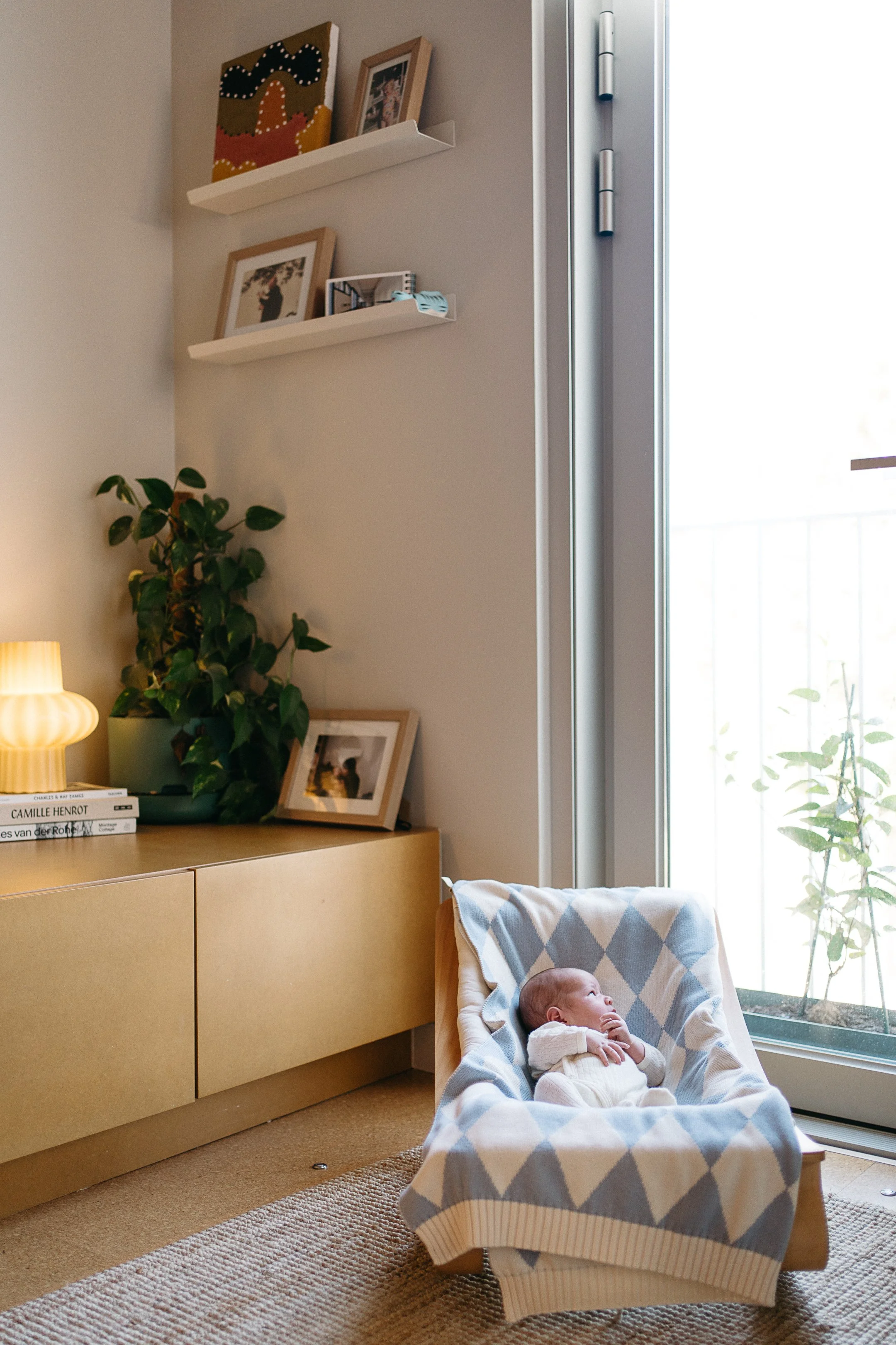 A baby lying in a cozy cradle with a blue and beige diamond-patterned blanket, next to a large window with sunlight, inside a living room with shelves, framed photographs, a plant, and books.