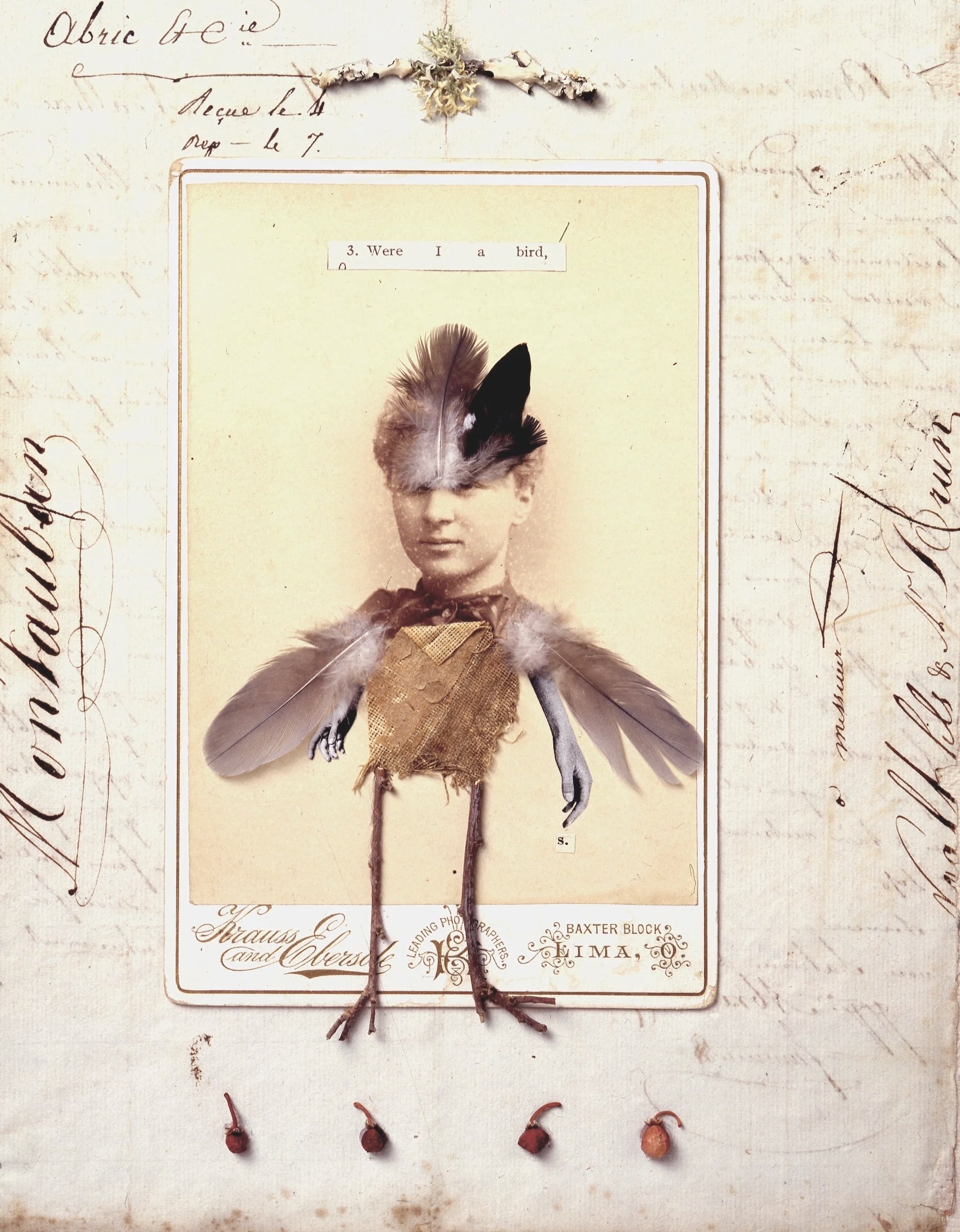 Were I A Bird