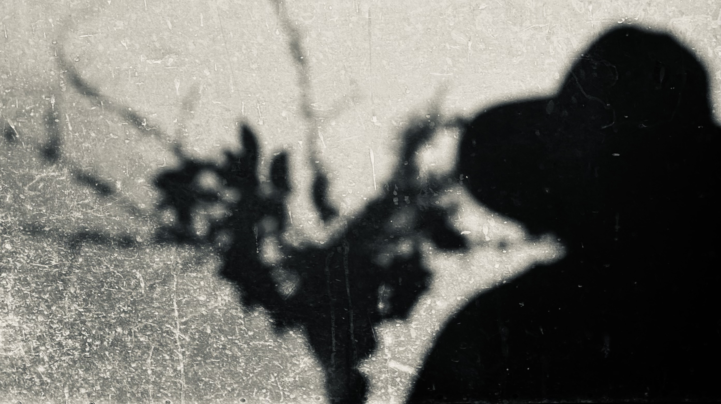 The Sun's Shadow