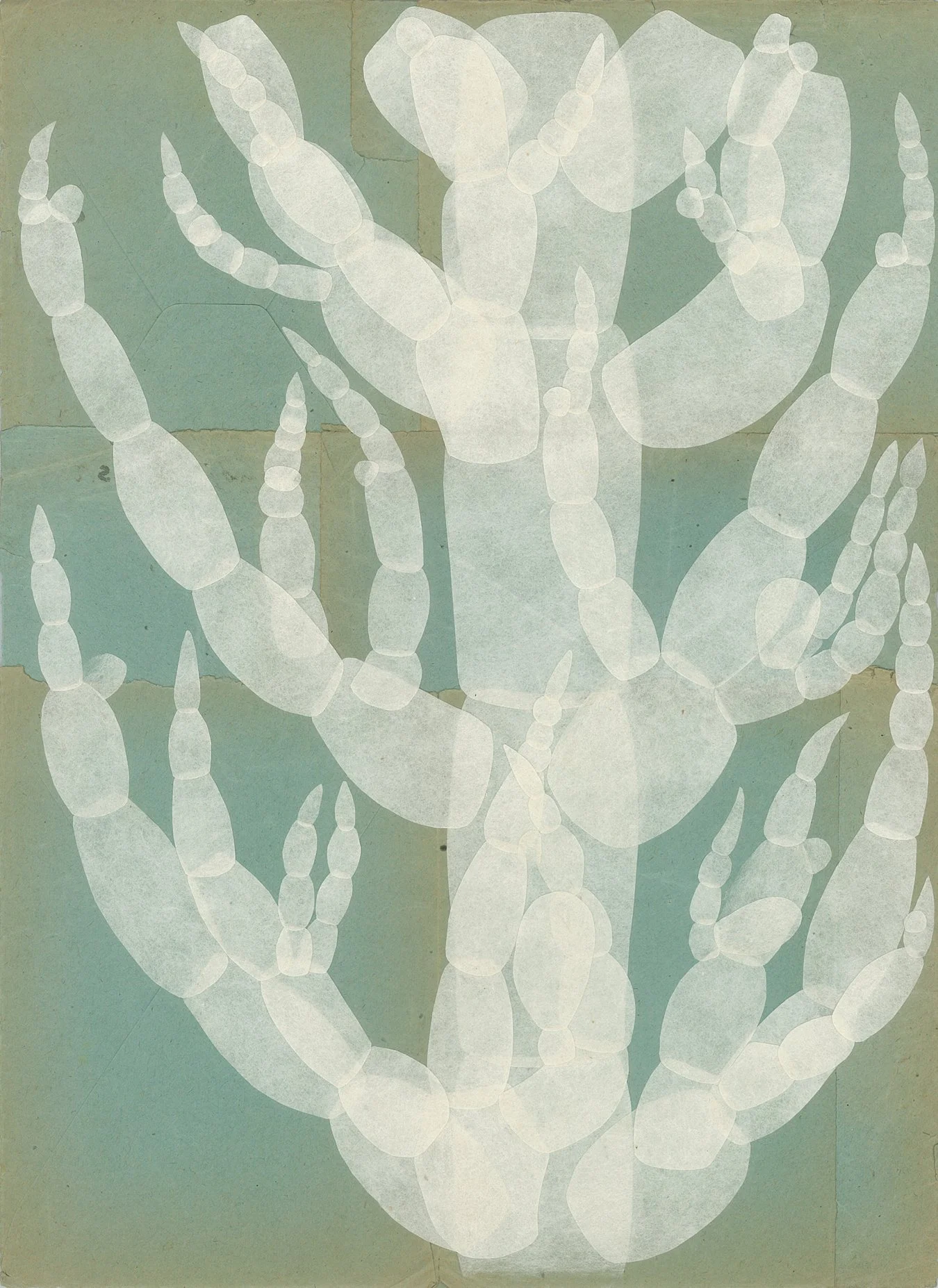 Seaweed and Blue Envelopes