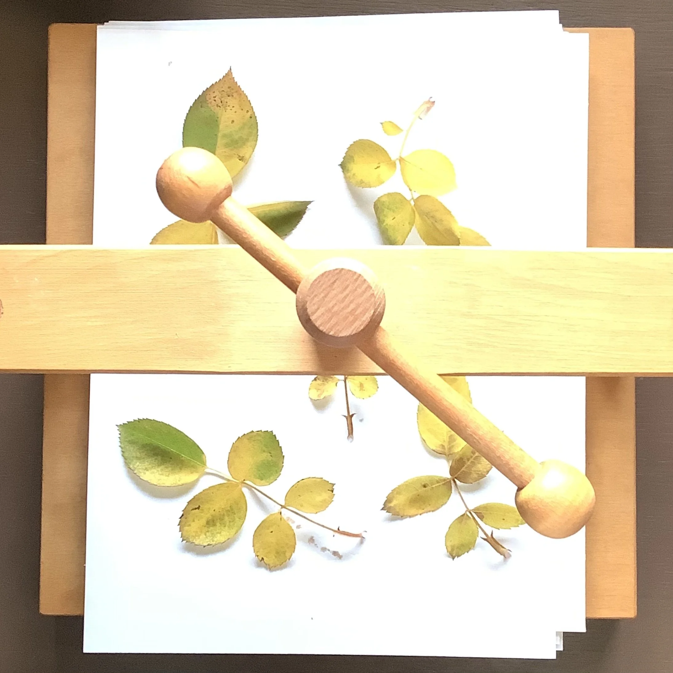 Botanical Press
