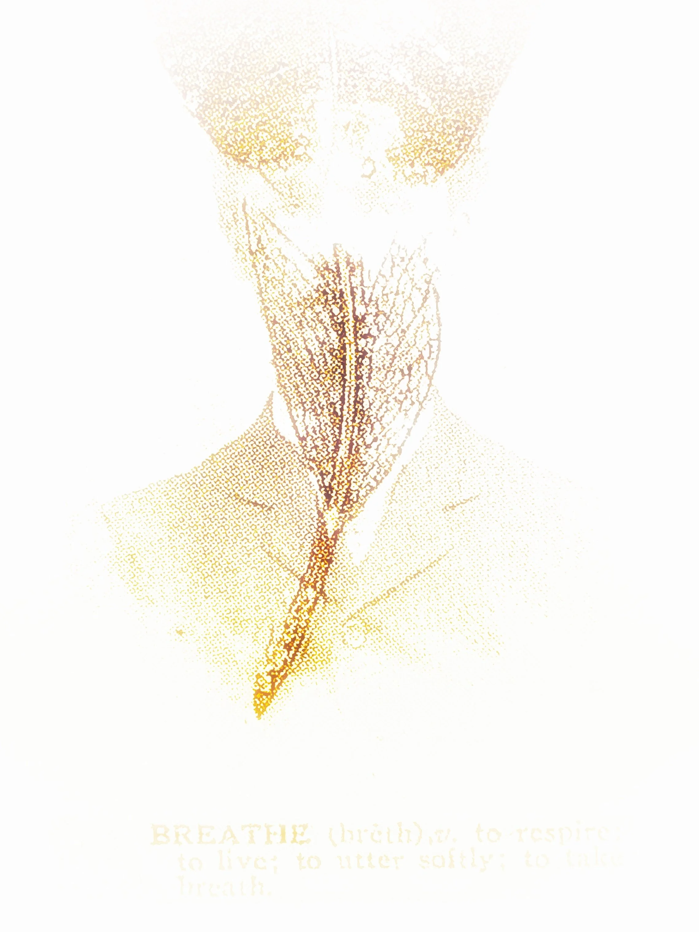The Breath of a Tree