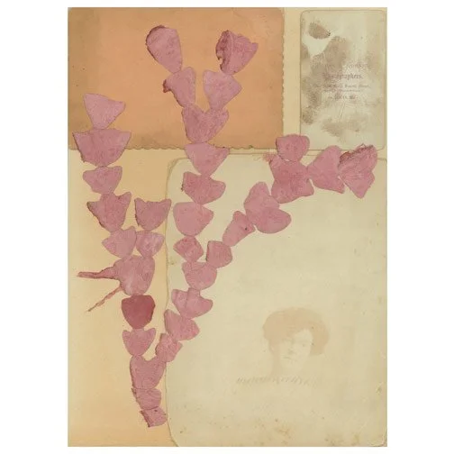 Pink Seaweed, Hand, & Spirit