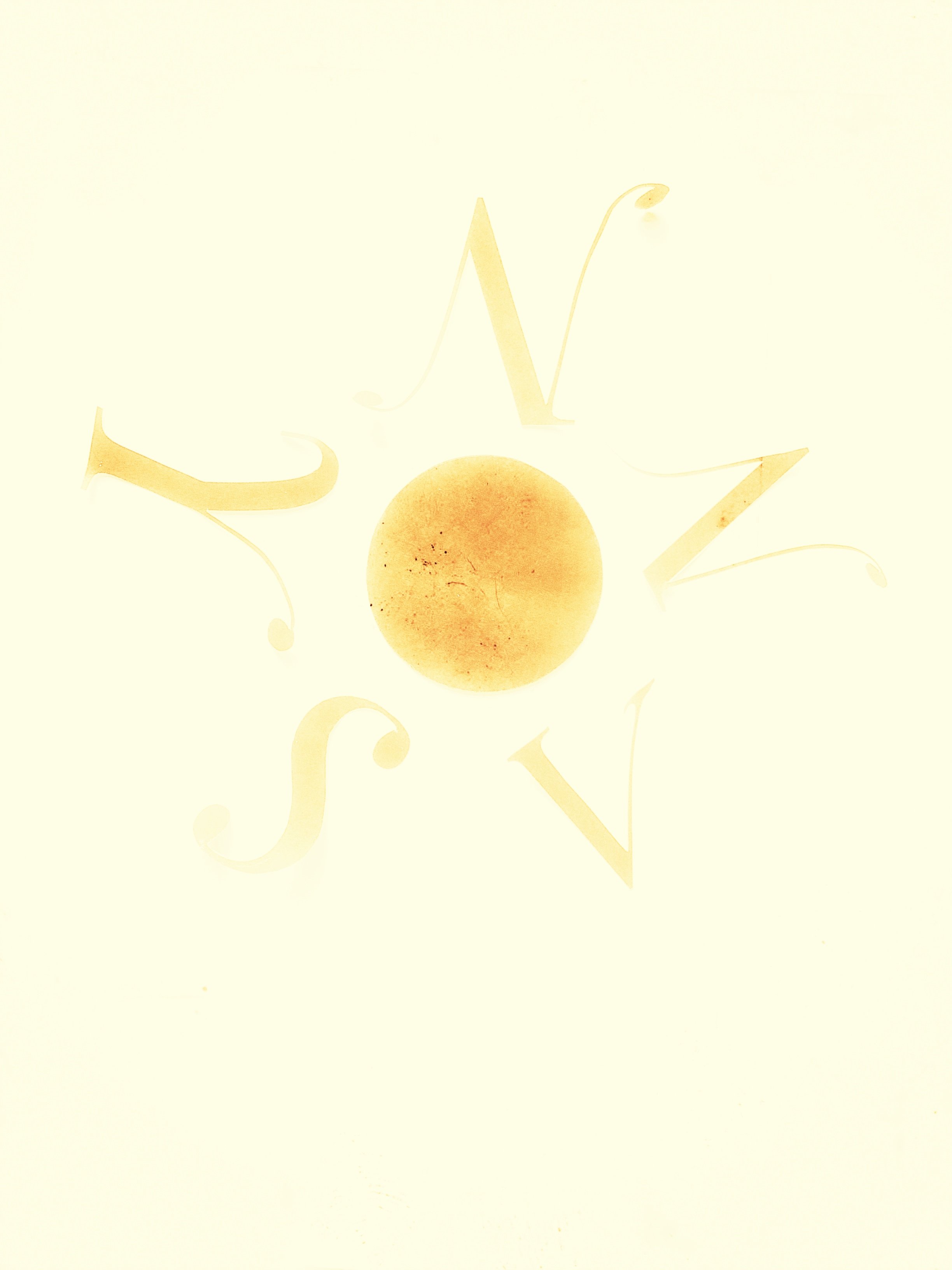 Sunny_Koch_Logo_Yellow.JPEG