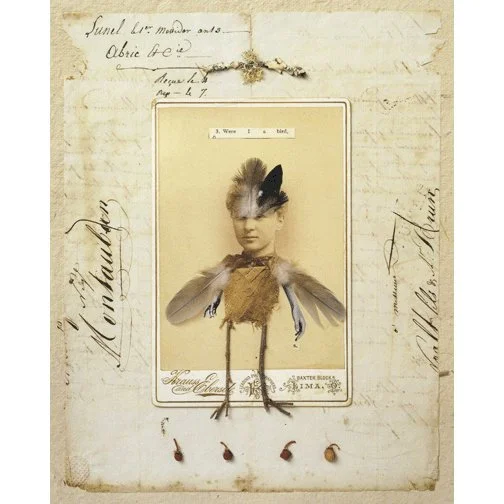Were I A Bird