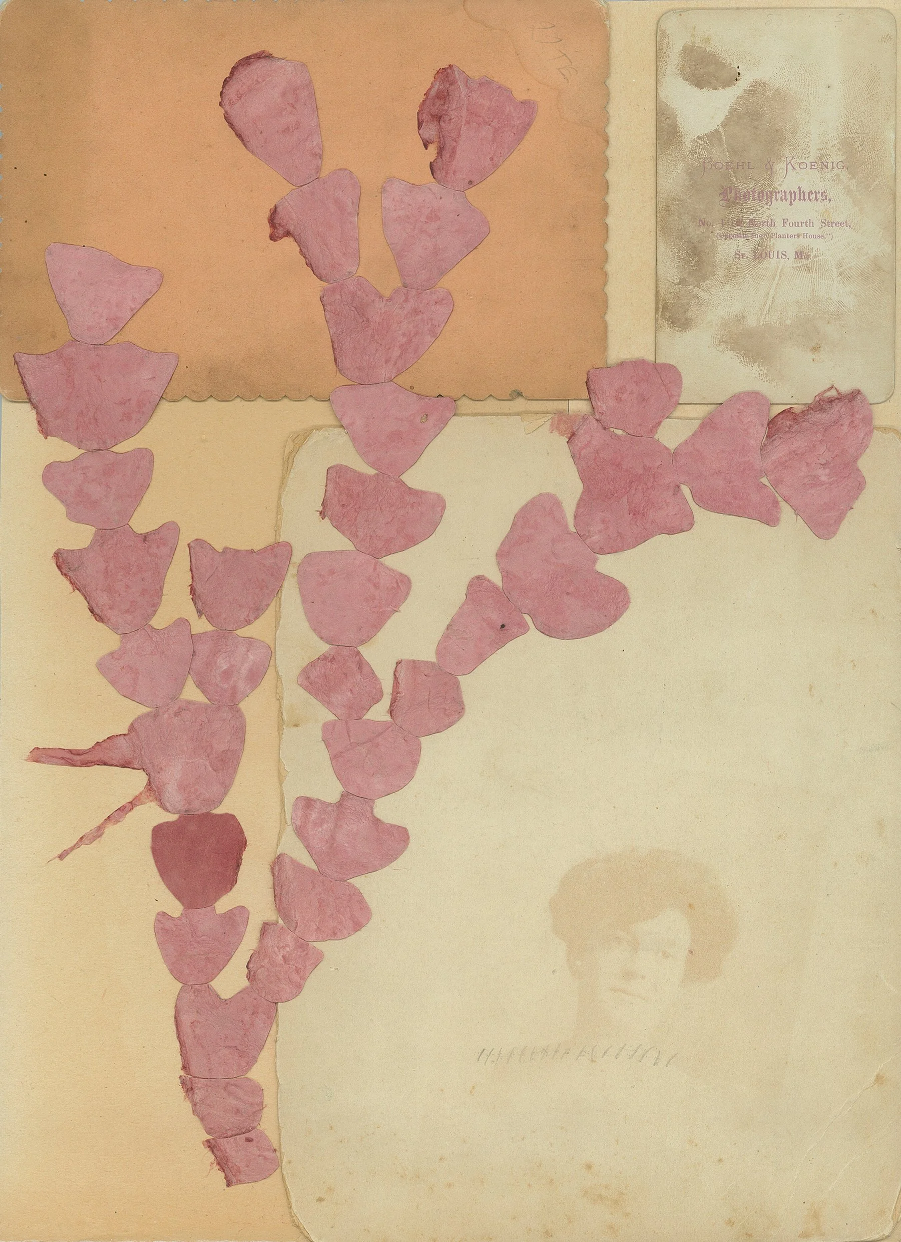 Pink Seaweed, Hand, and Spirit