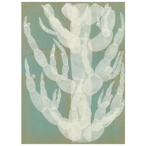 Seaweed & Blue Envelopes