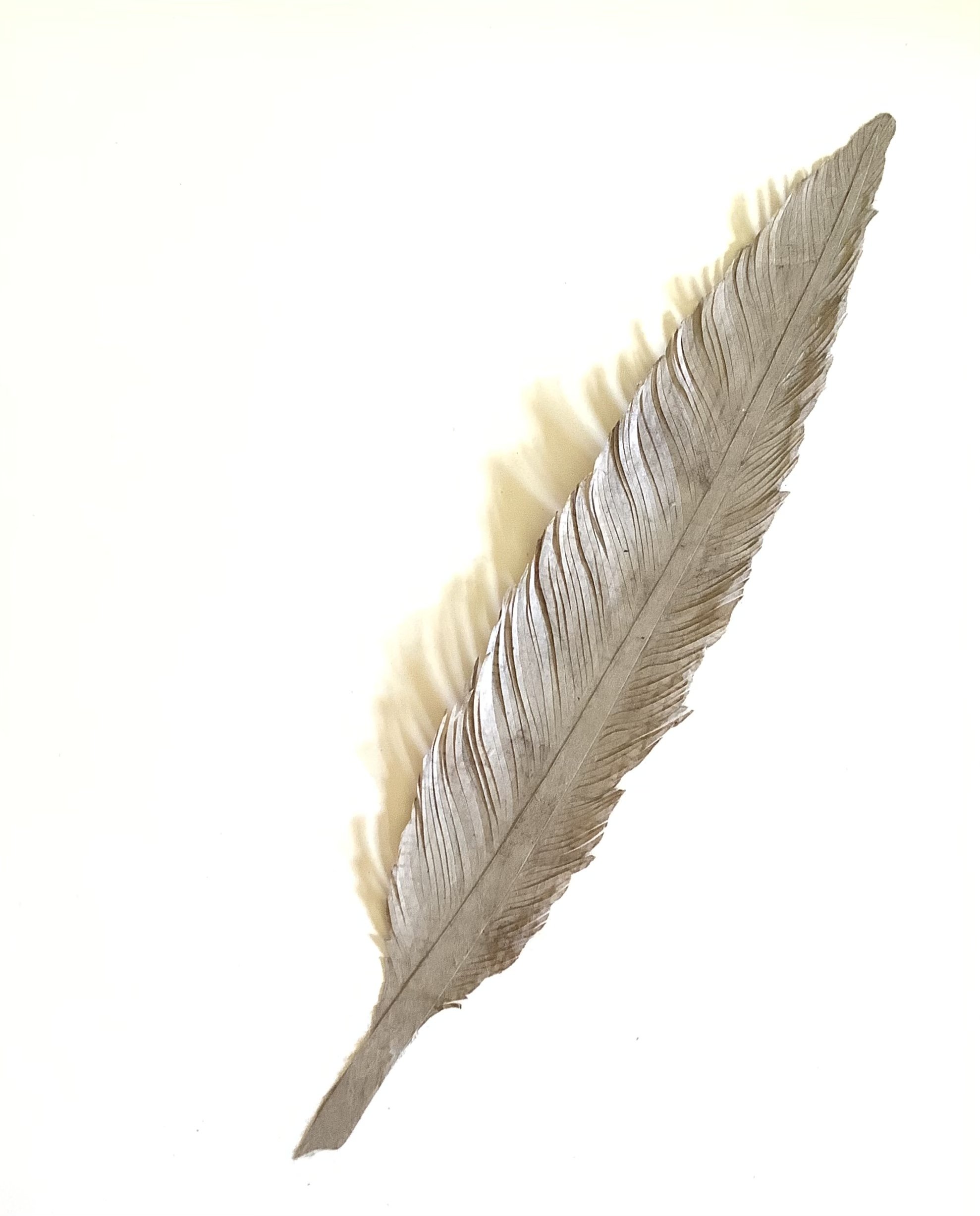 Paper Feather