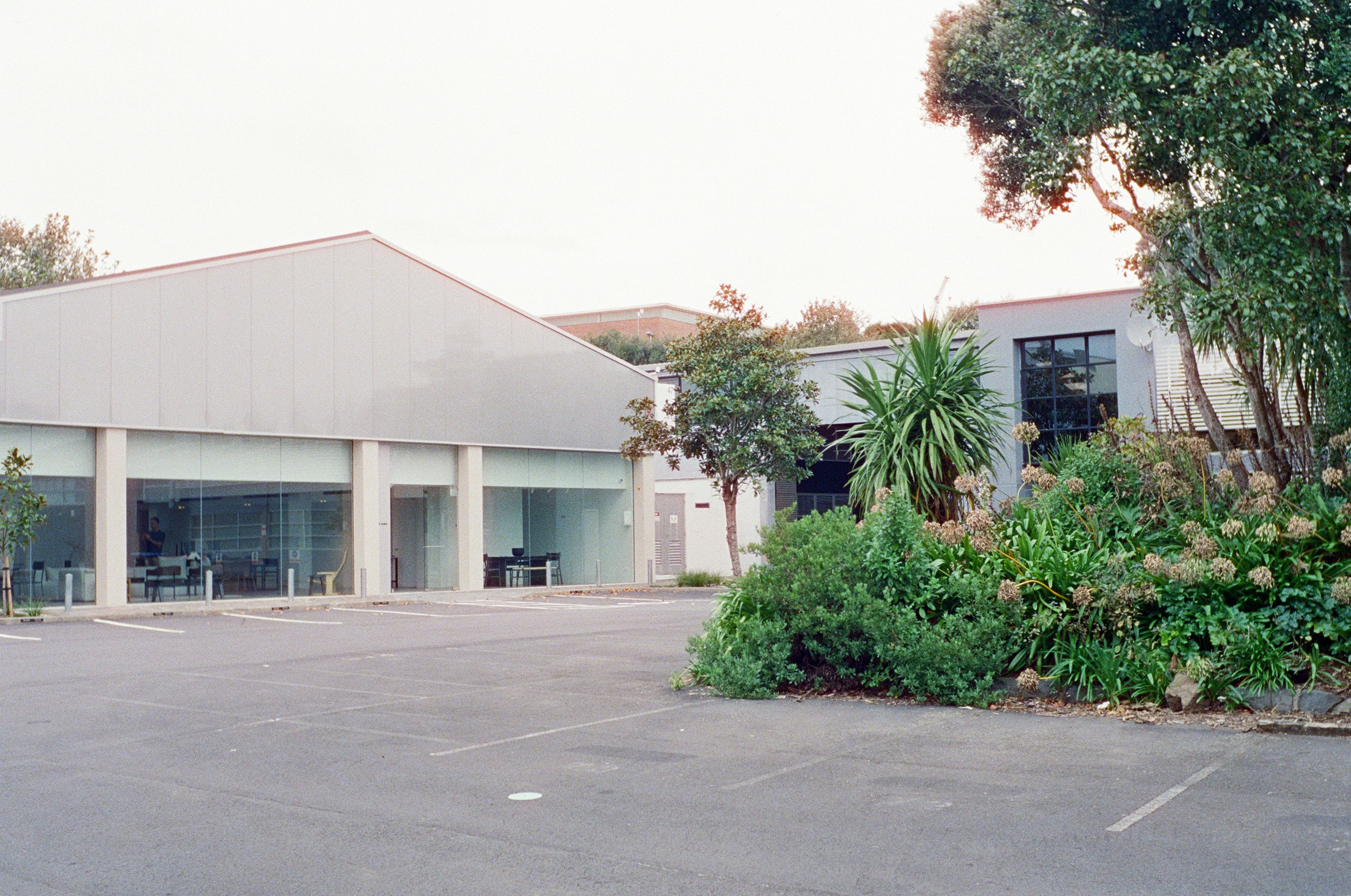 Empty parking lot in front of modern office building with large windows and greenery.
