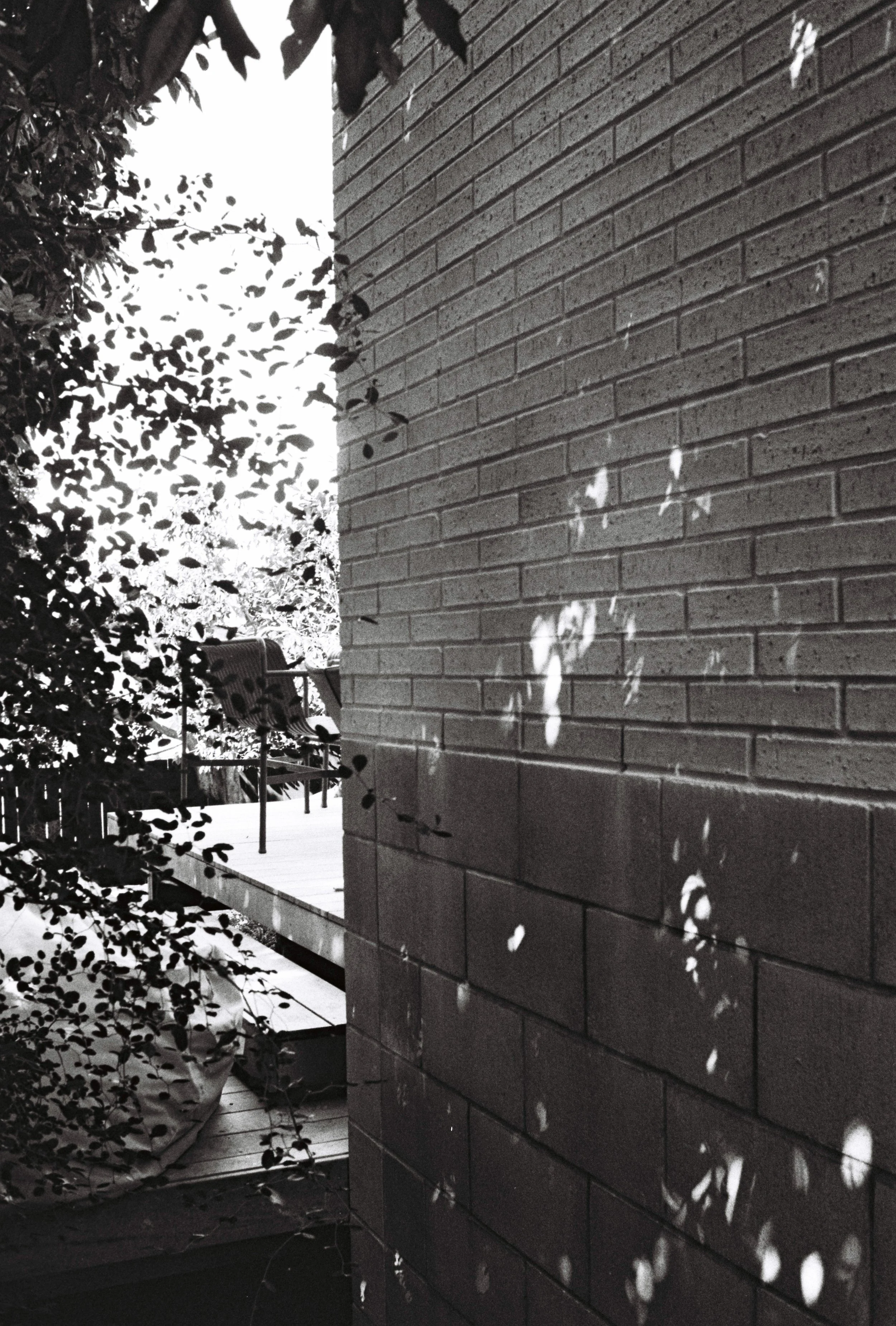 Black and white photo of a brick house wall with sunlight filtering through tree leaves, casting shadows on the wall.