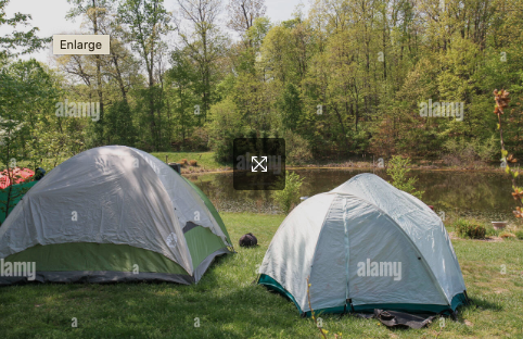Tents by pond imag.png