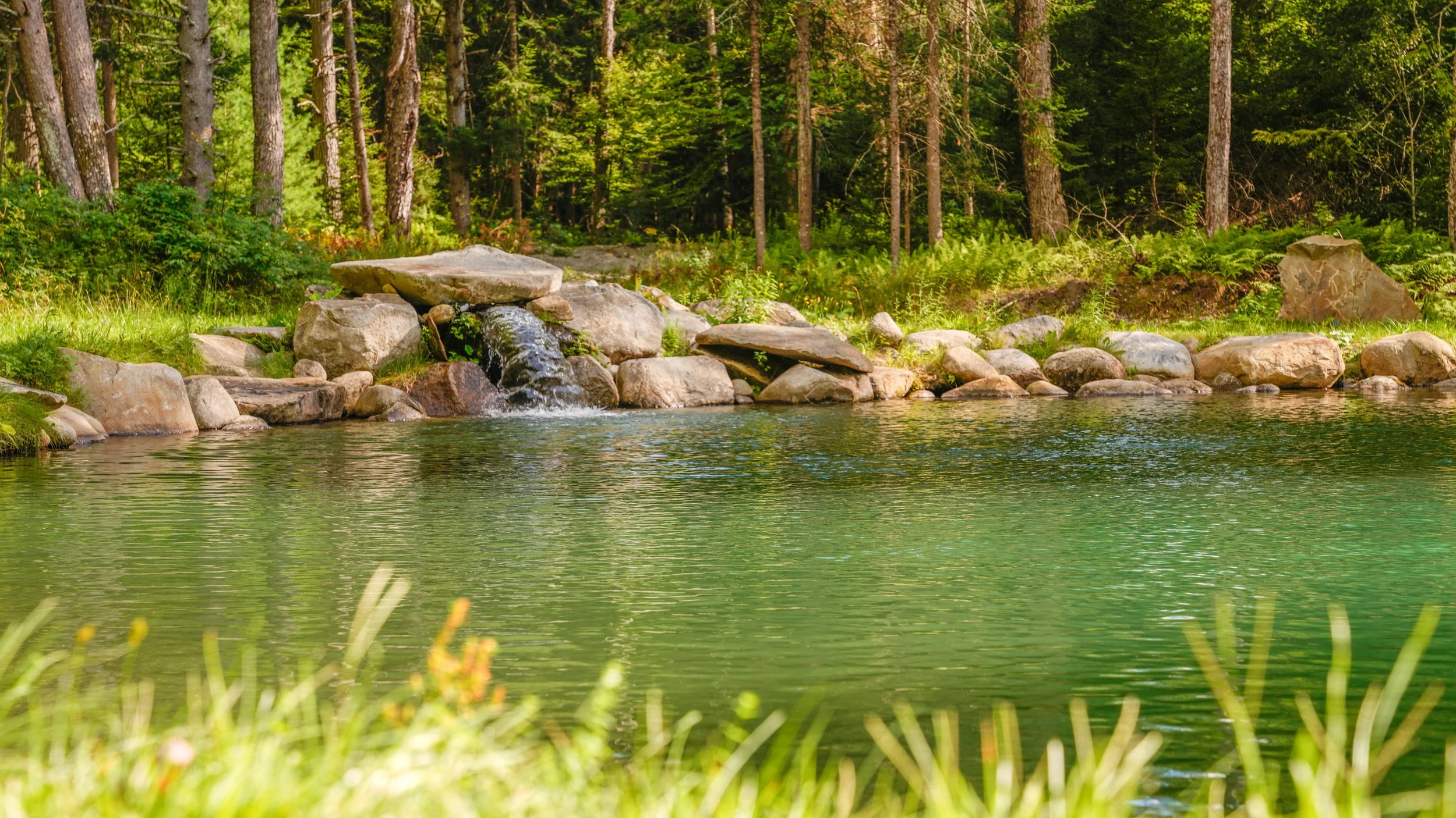 Pond Laird Pond Photos-13.JPG