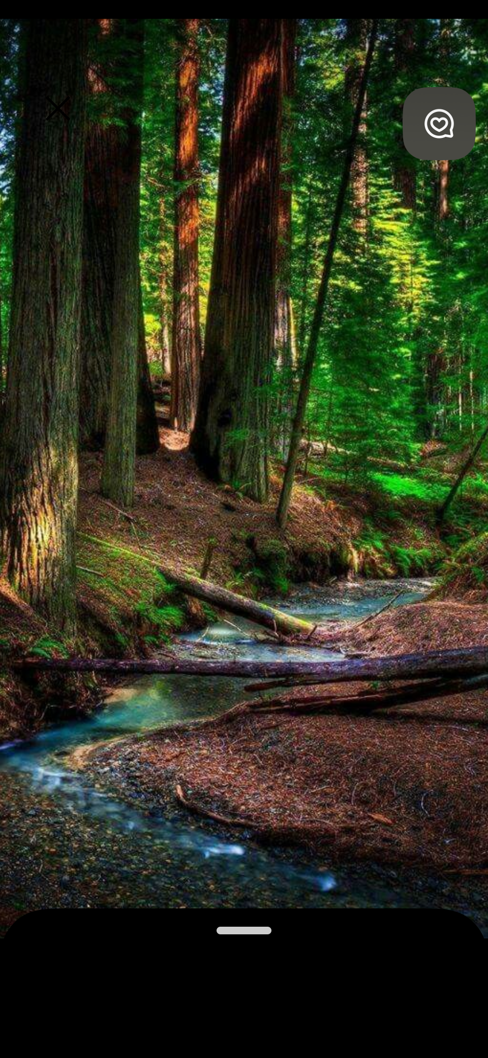 magical forest lit up.PNG