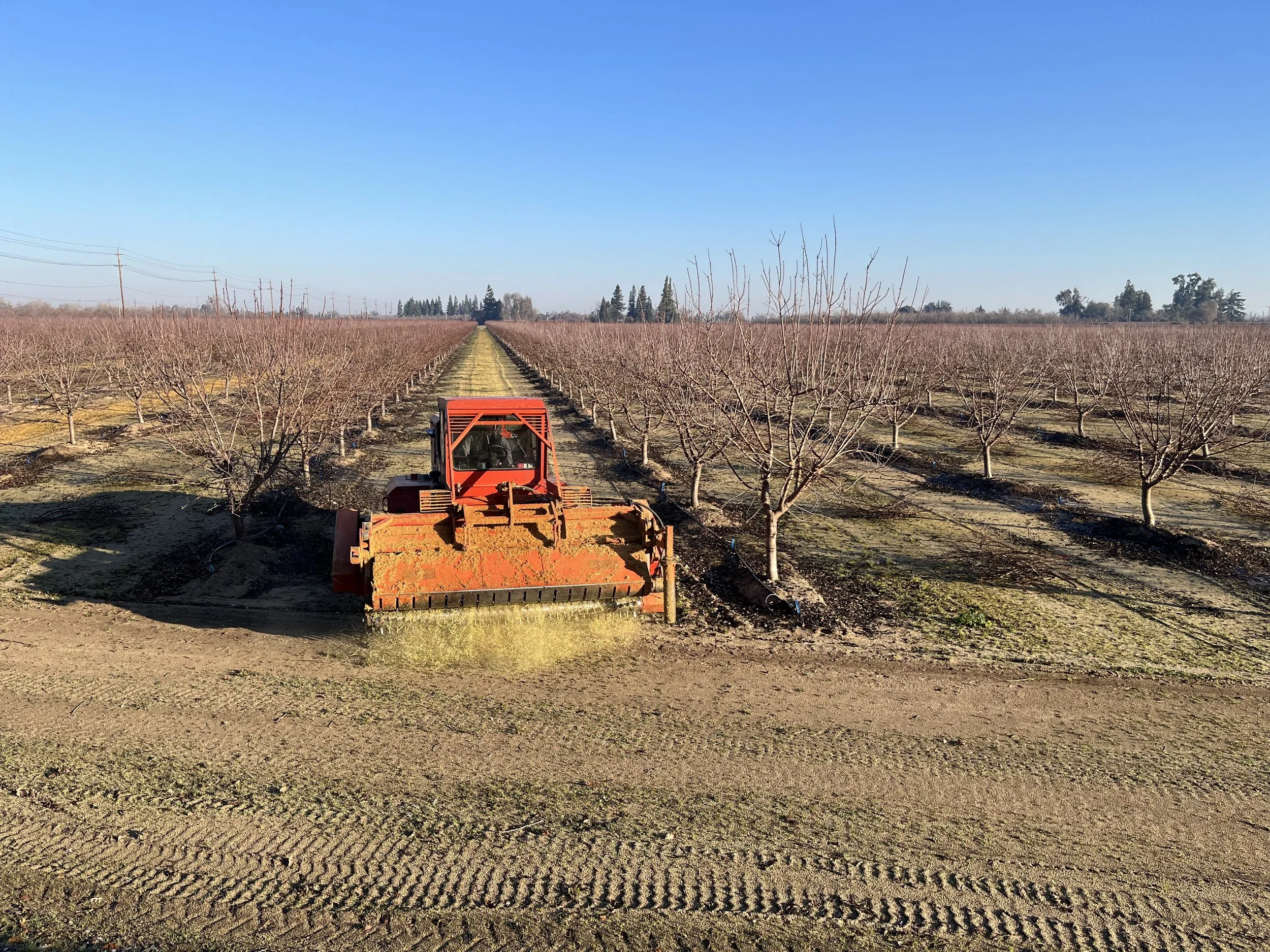 Brush Shredding, California Agriculture, Burn Alternative