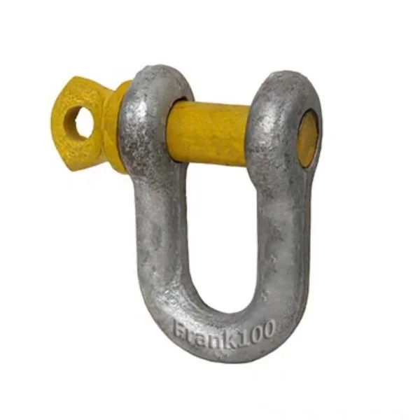 Dee Shackle