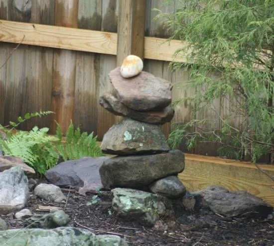 PREFACE: View from an Adirondack