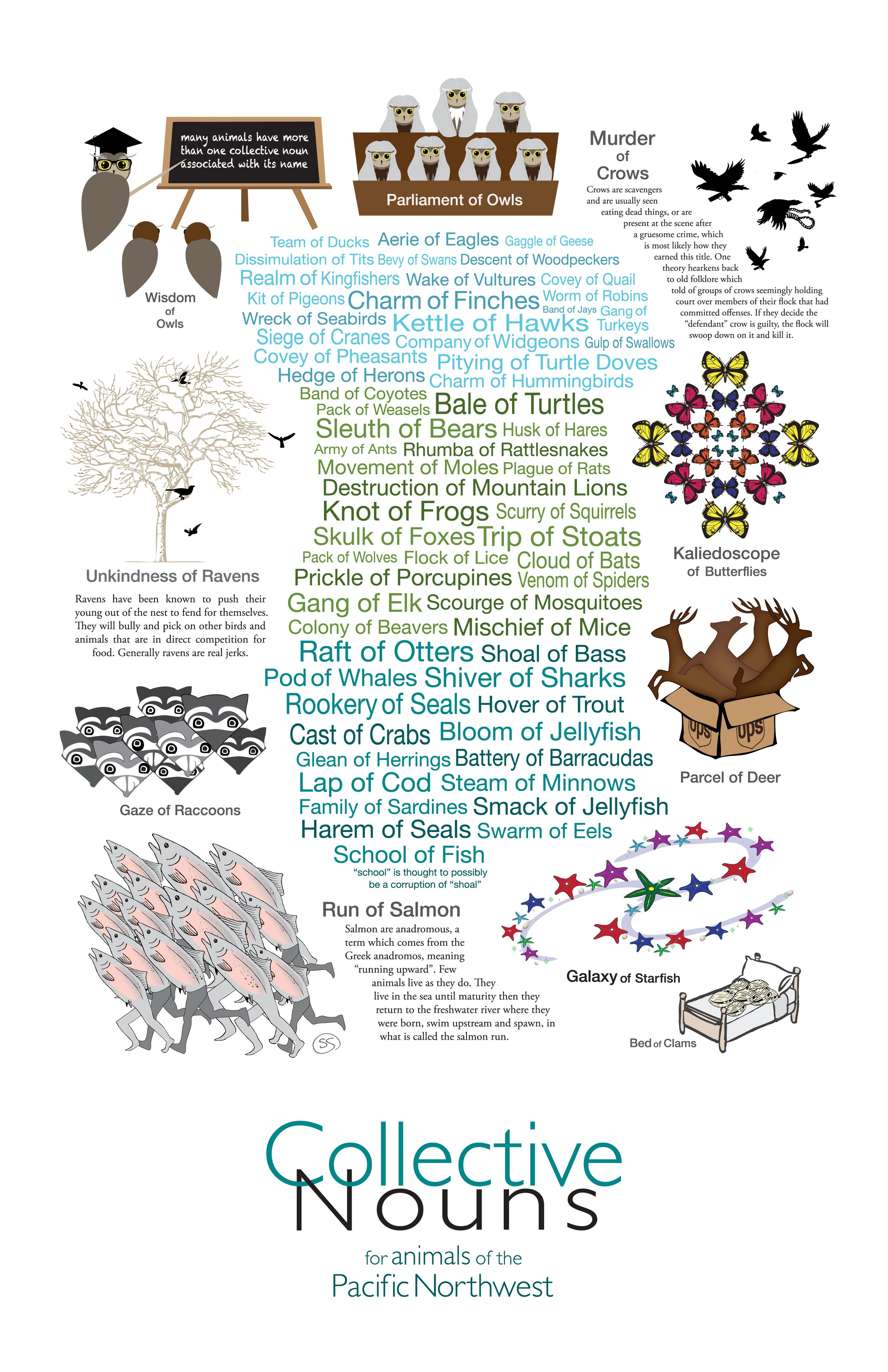 Poster - Collective Nouns of the PNW