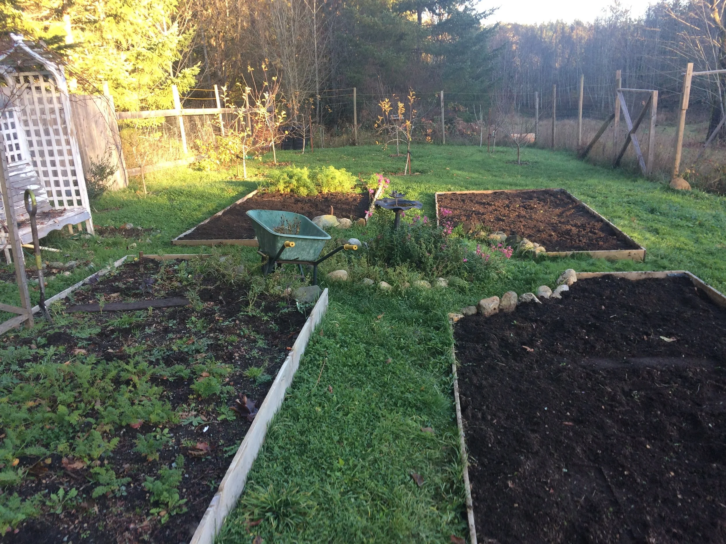 Kitchen garden beds built for Mark + Lesley, 2018
