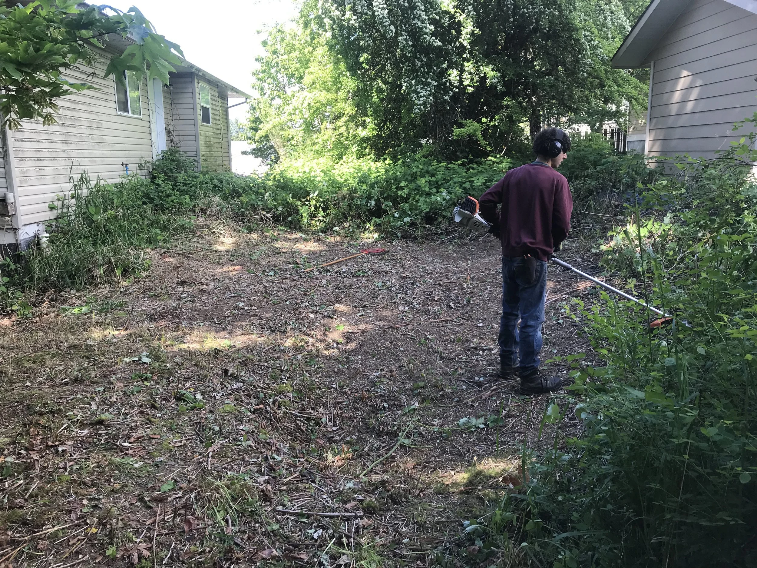 Blackberry removal, Duncan 2025