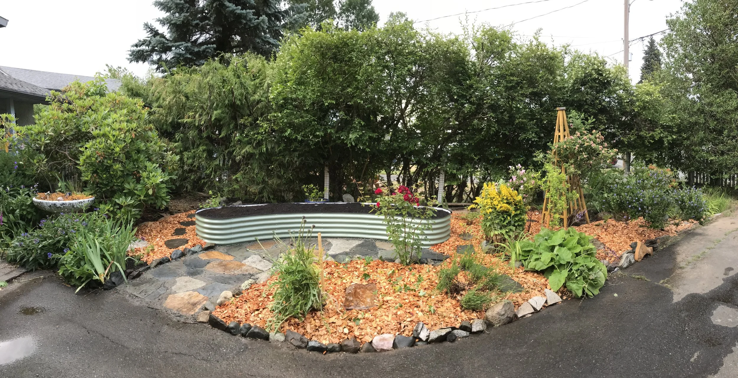 Cathy's new front yard - Full edible garden install 2025