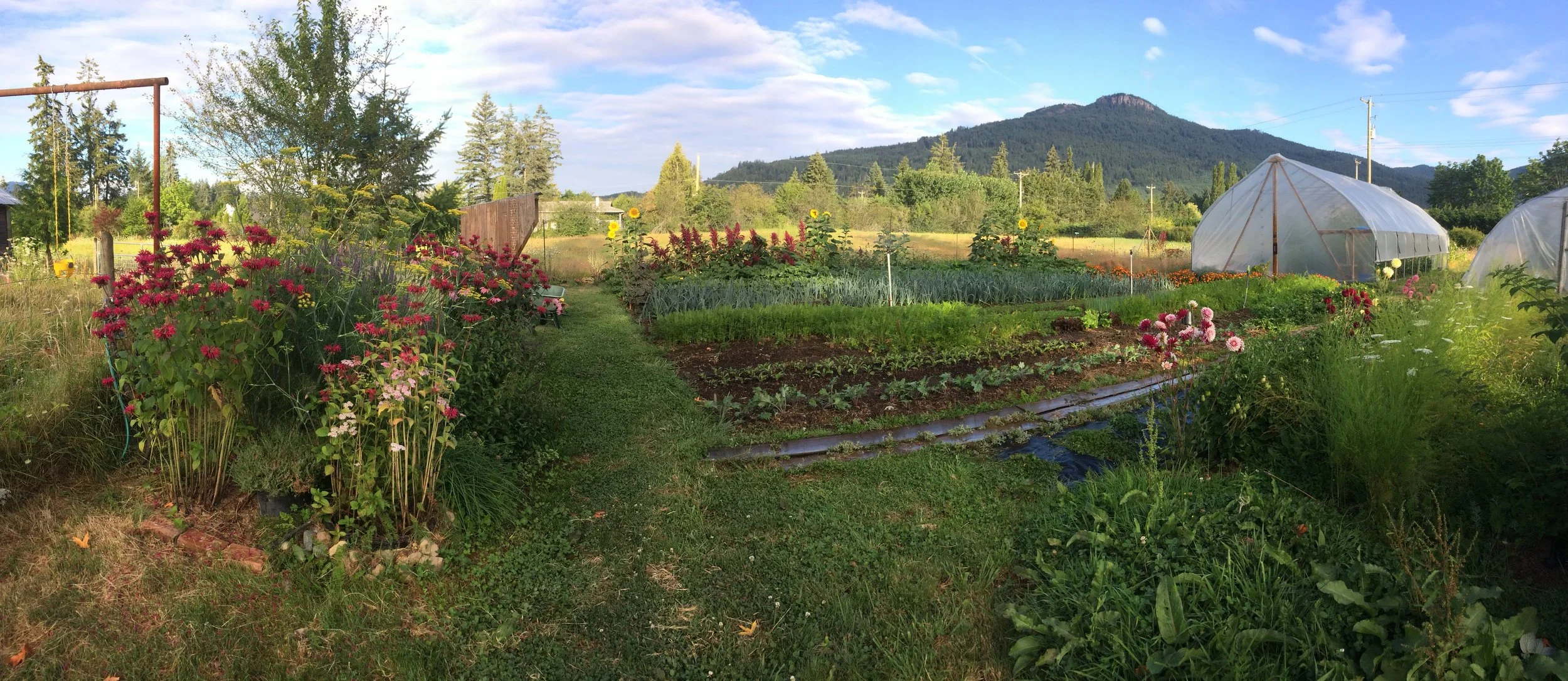 Wishing Well Farm 2021