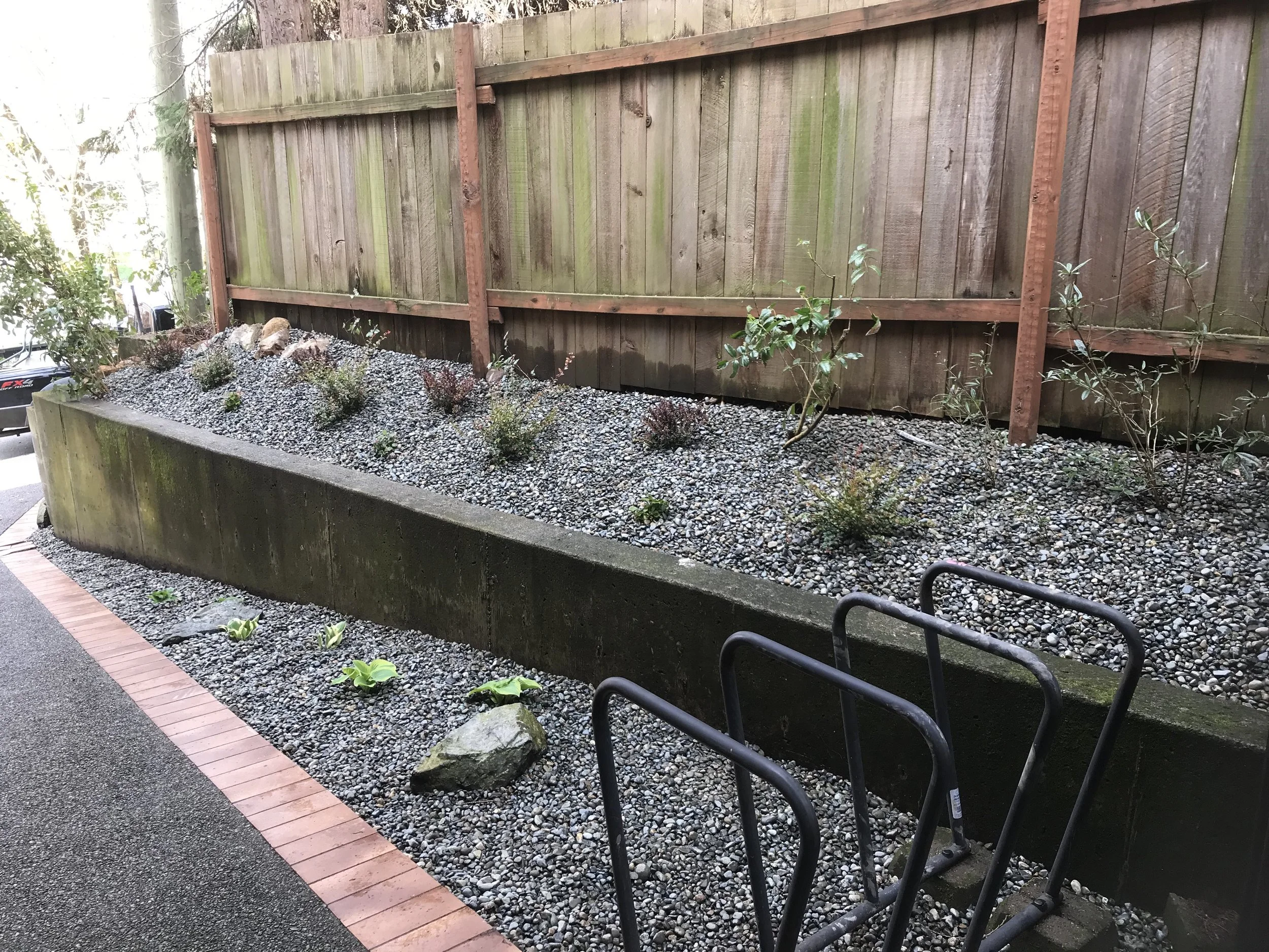 New garden install for commercial property, Duncan. Native edible species plus hosta, berberis and sedums.