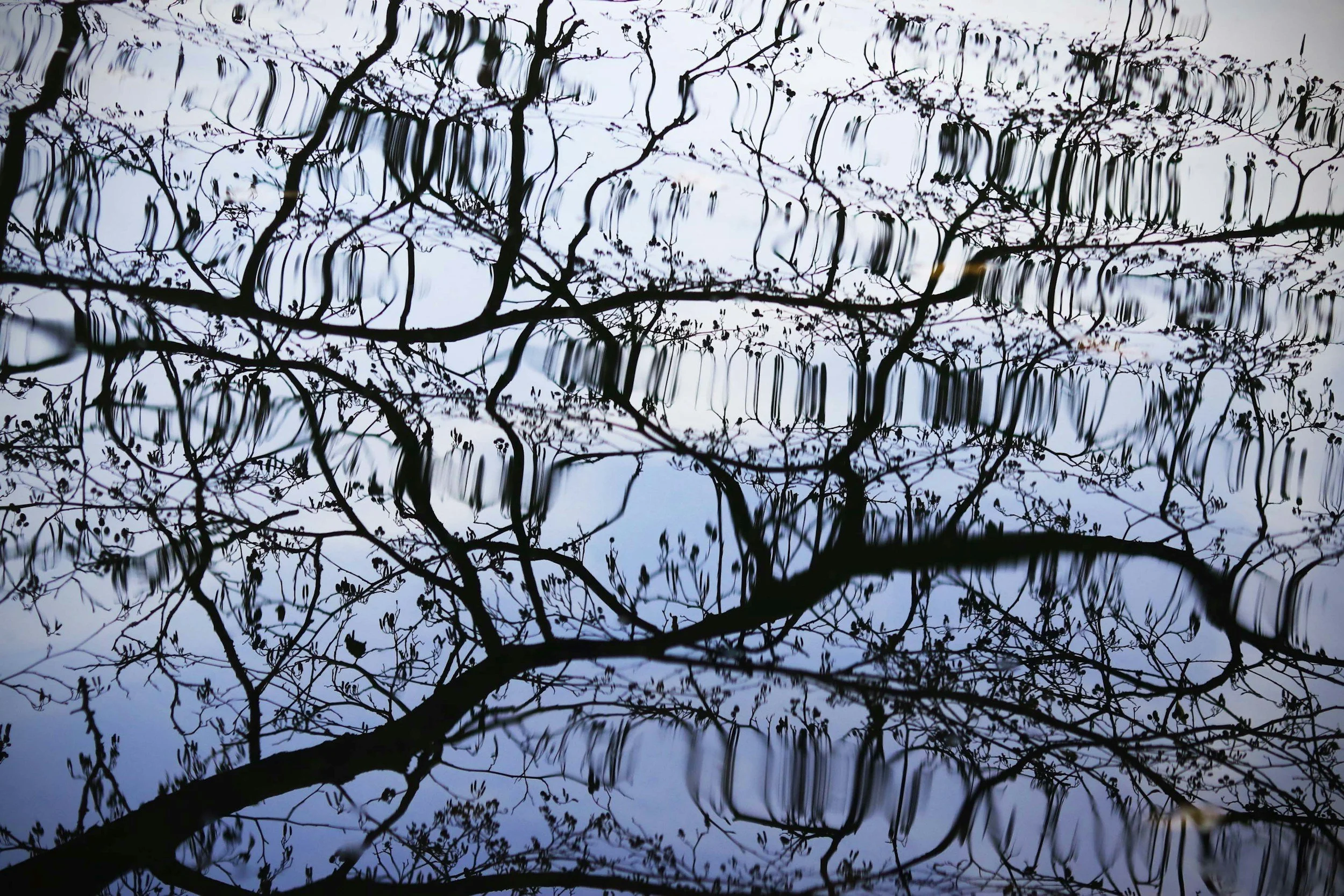 Making Room for Emotional Complexity