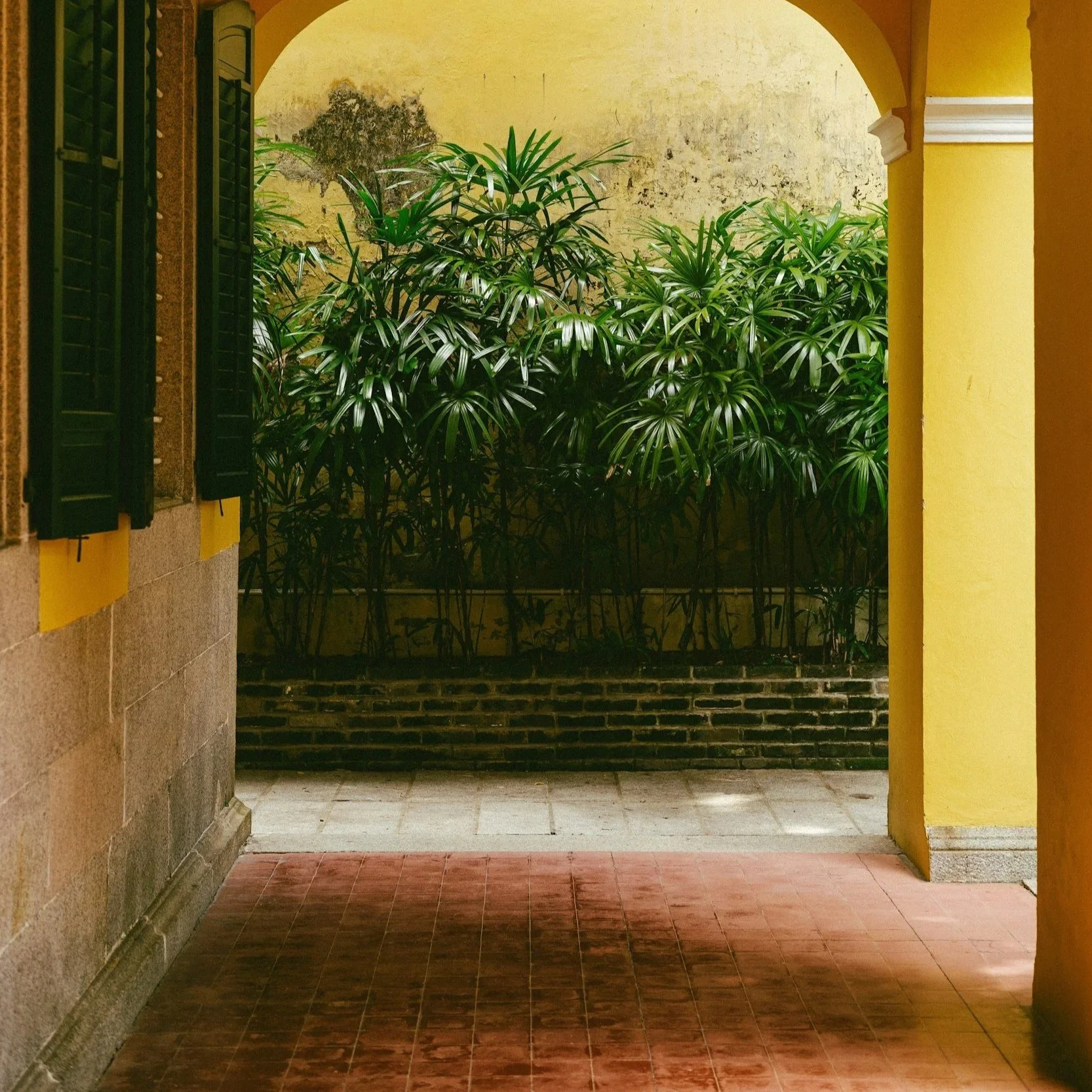 View of a yellow wall with green foliage outside, seen through an open archway with a terracotta-tiled floor.