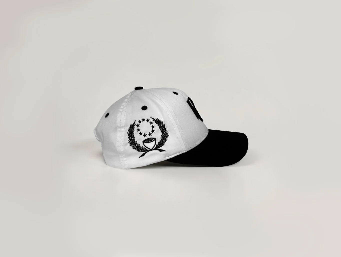 FINAL hat 3.jpg