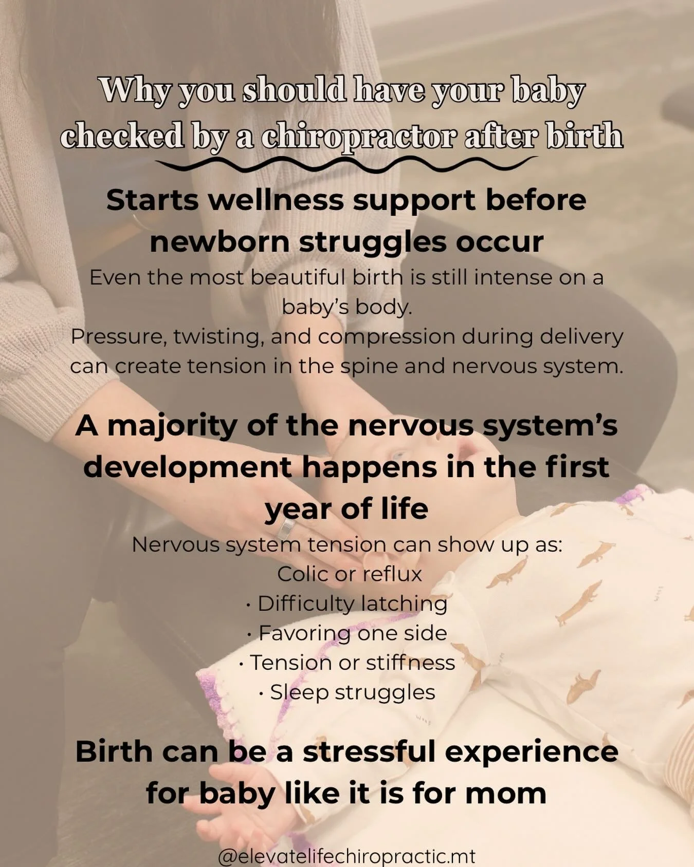 It&rsquo;s best to plant a tree by the water when it&rsquo;s a seedling so it has the essentials to grow from the start. It still benefits from the water if you plant it later in life, but it&rsquo;s not as potent. The same goes for working with babi