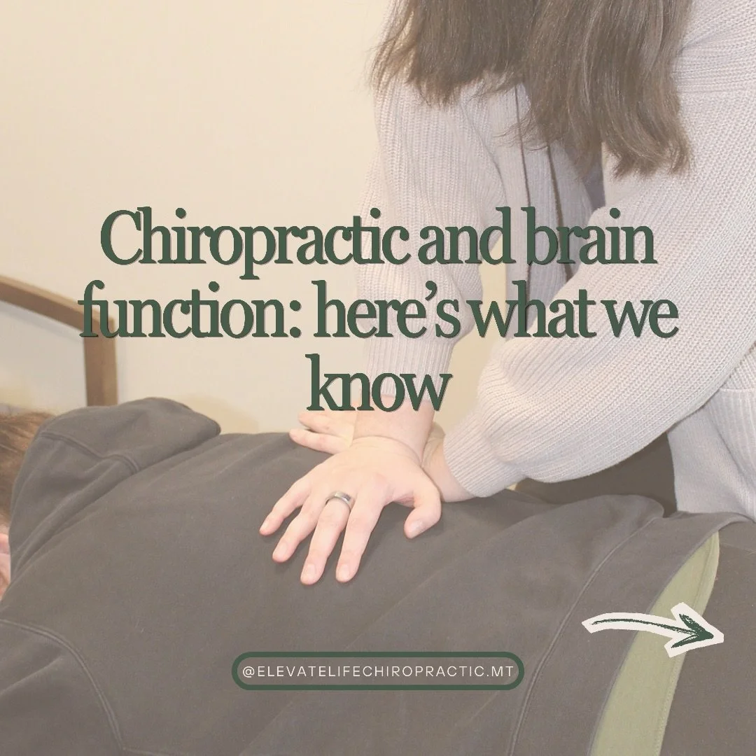 Chiropractic is heavily regarded as musculoskeletal, but what we do is actually neurospinal! 

Nervous system stress gets stuck in the spine through physical, chemical, and emotional stress. With gentle adjustments to the spine, we change how the bra