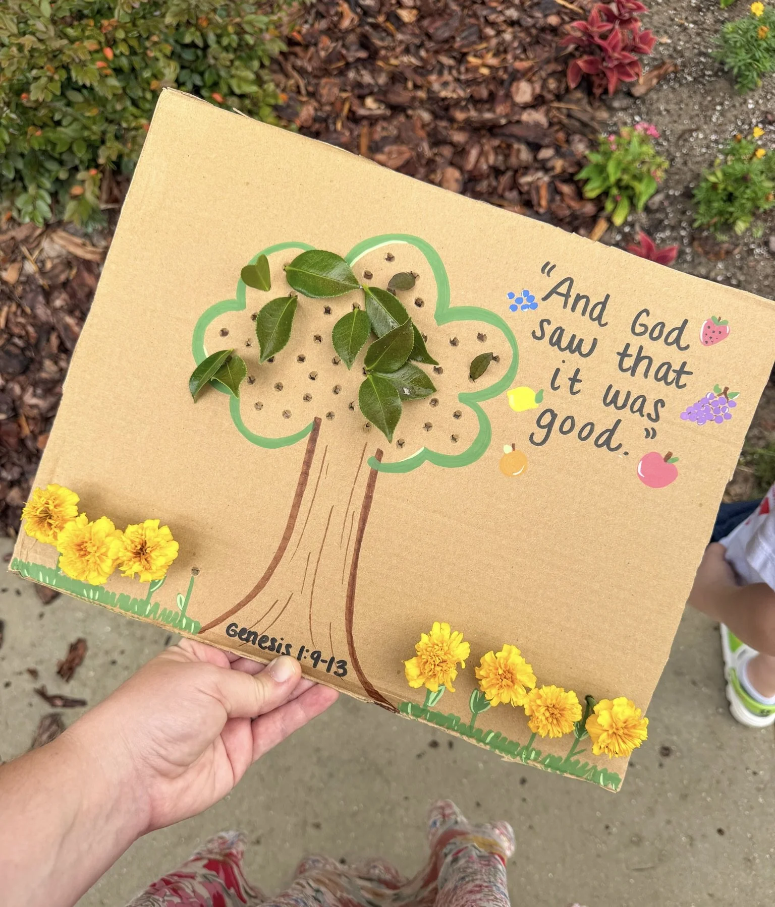 Nature Activity for Teaching Creation (Day 3)