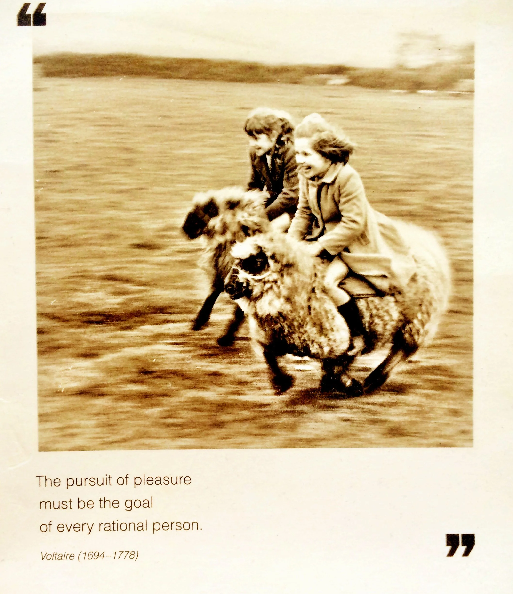 two young girls ride sheep quote the pursuit of pleasure must be the goal of every rational person