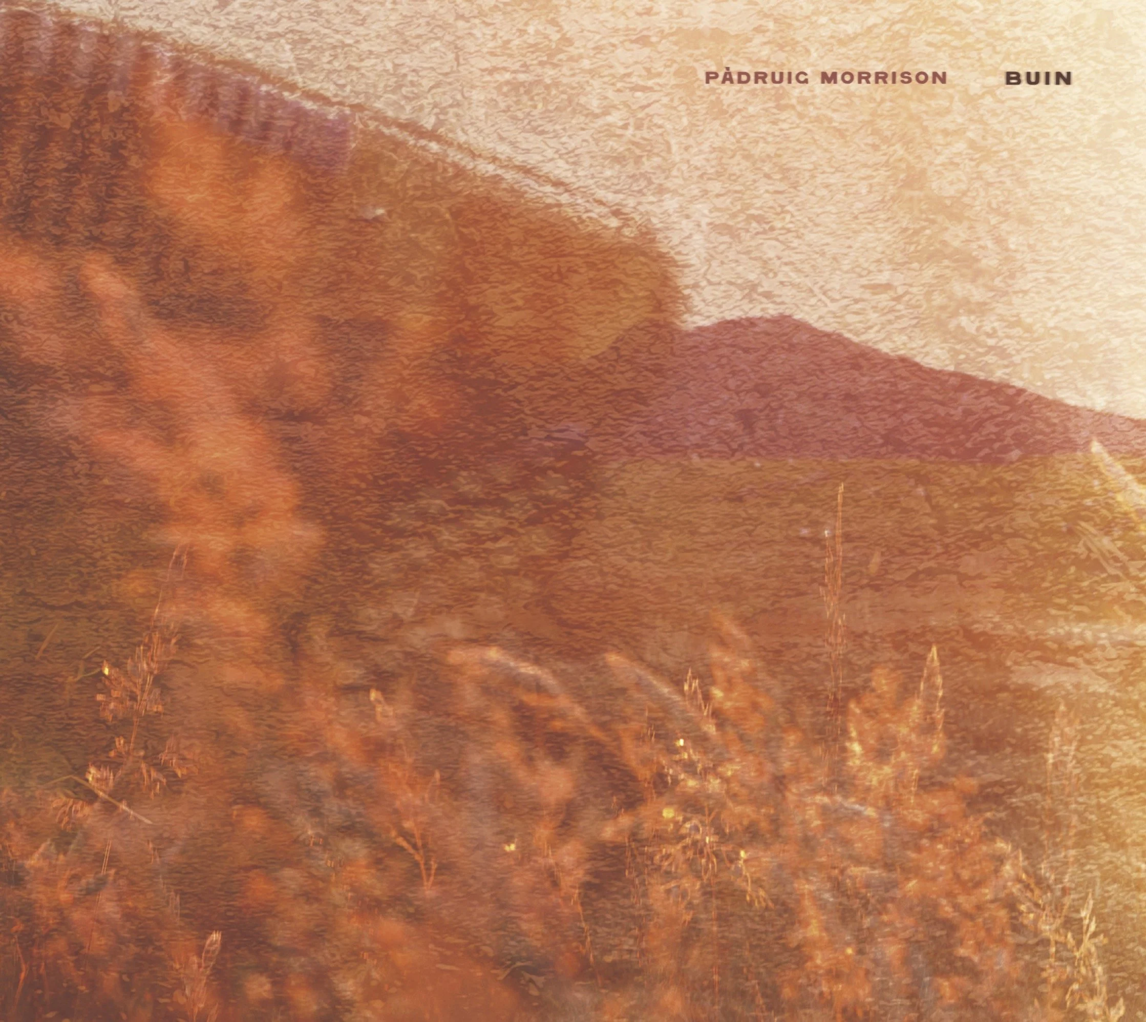 An abstract image combining grasses with the Hebridean landscape in golden, rich, harvest colours, with Eubhal in the background, hints of the accordion, and text reading 'Pàdruig Morrison' and 'Buin'.