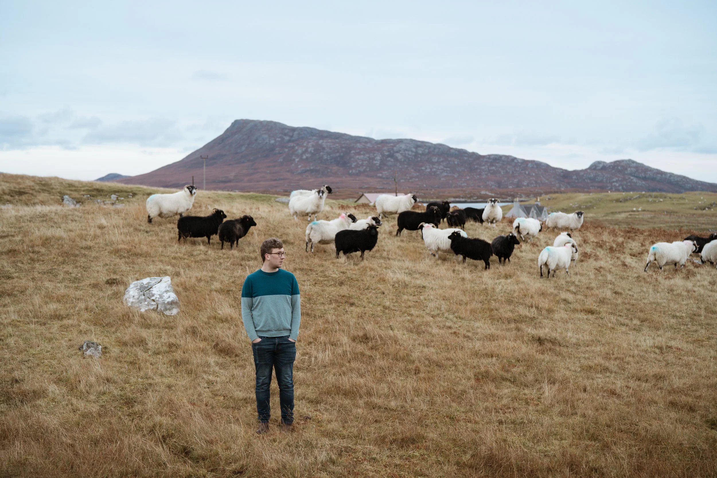 A man stands in a grassy field with a flock of sheep and goats, mountains in the background under an overcast sky.