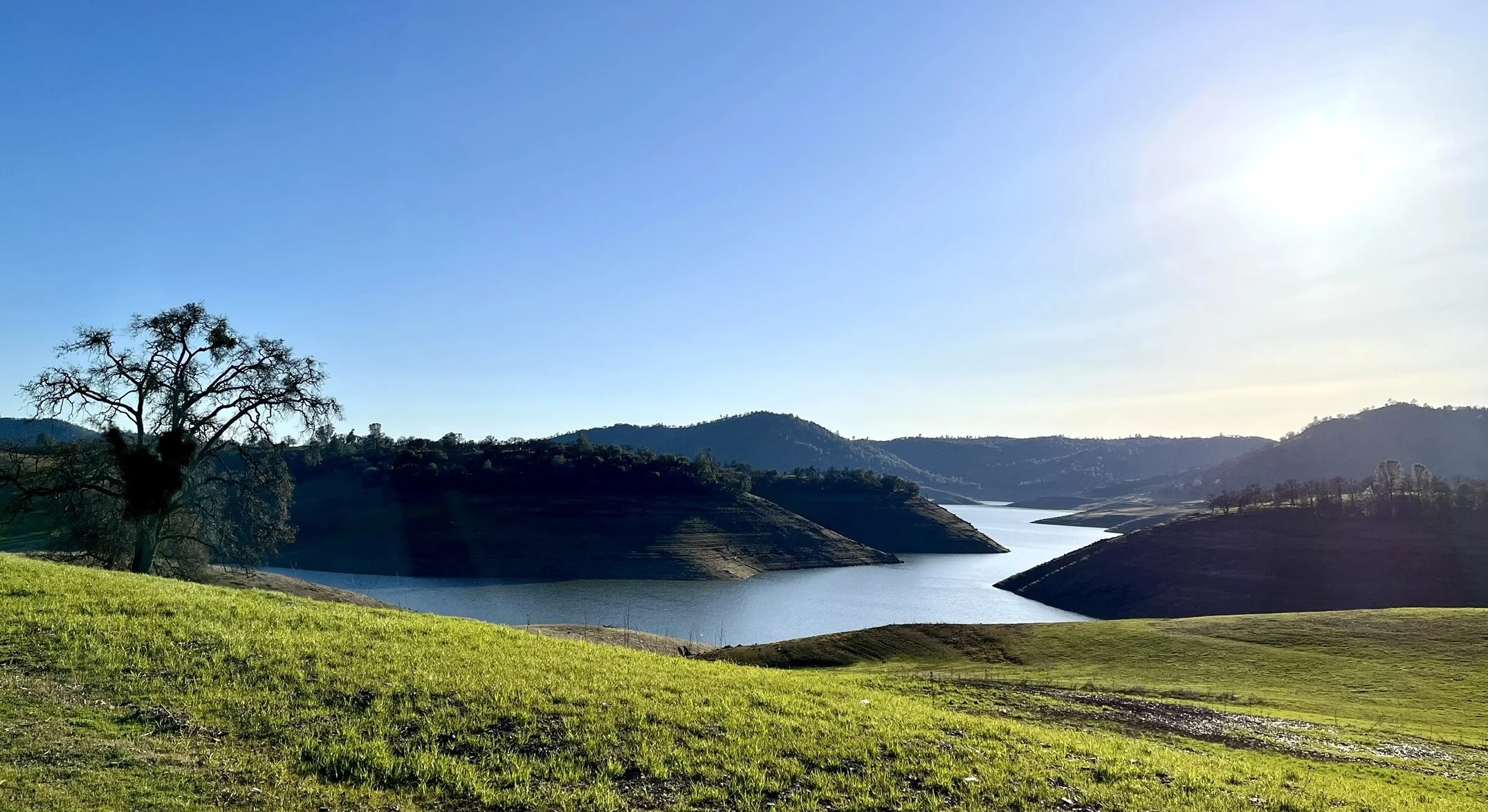 A scenic landscape featuring a lake surrounded by rolling hills, with a solitary tree on a grassy foreground and clear blue sky overhead.