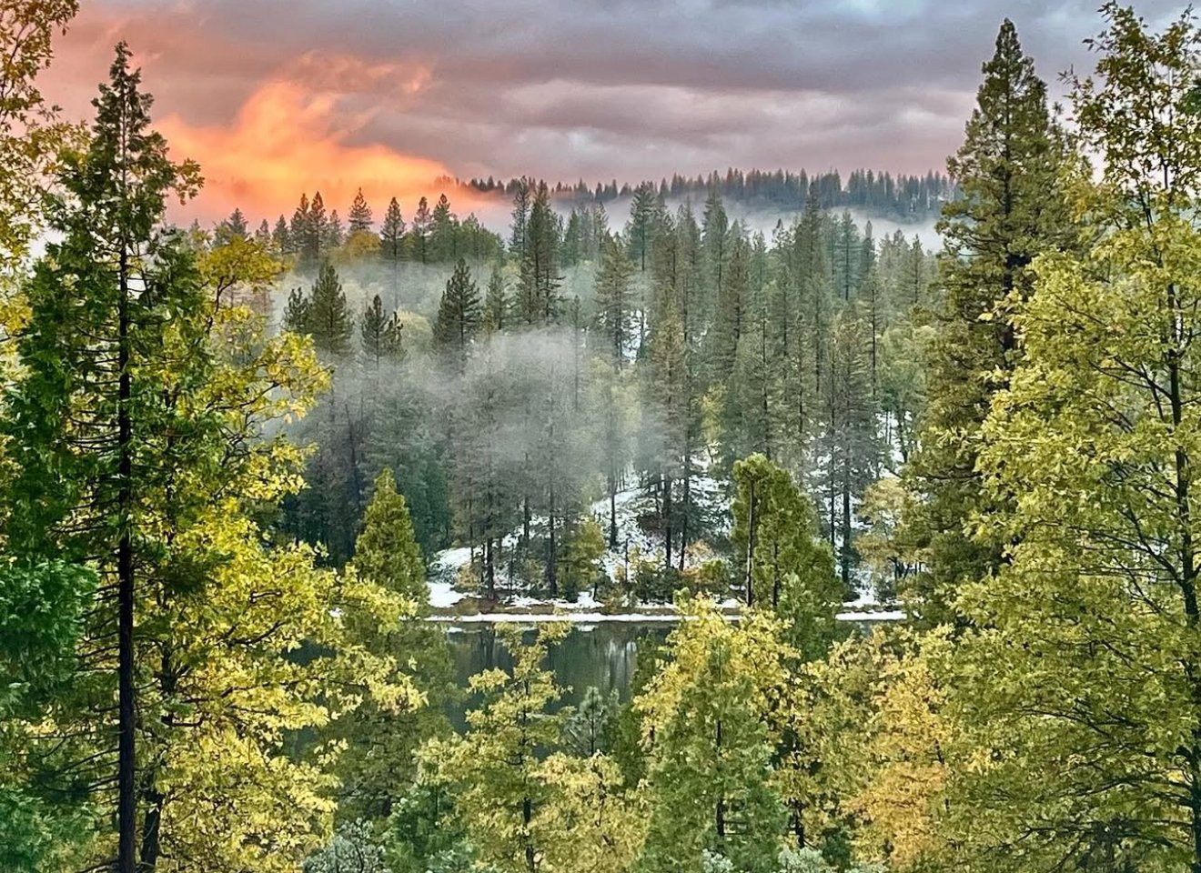 A peaceful forest scene with tall trees reflecting in a still lake. In the background, mountains are partially obscured by mist, and the sky is tinged with orange and pink hues at sunset.