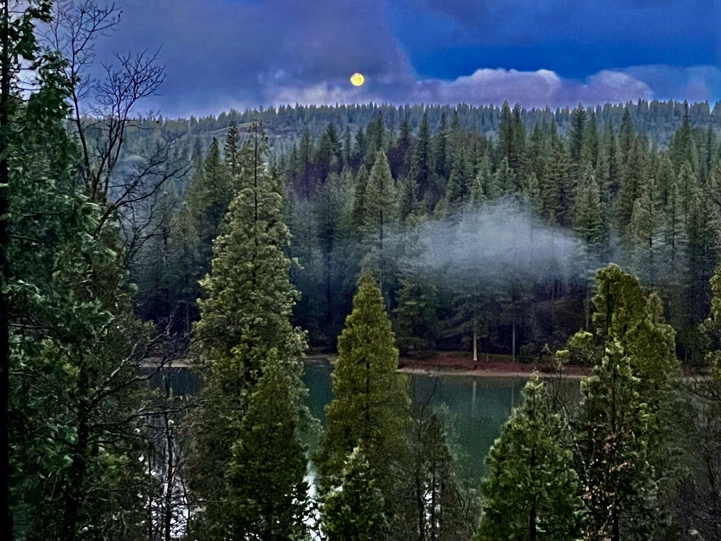 A forested landscape at dusk with a full moon rising above a mountain range, a lake reflecting the trees, and mist near the water.