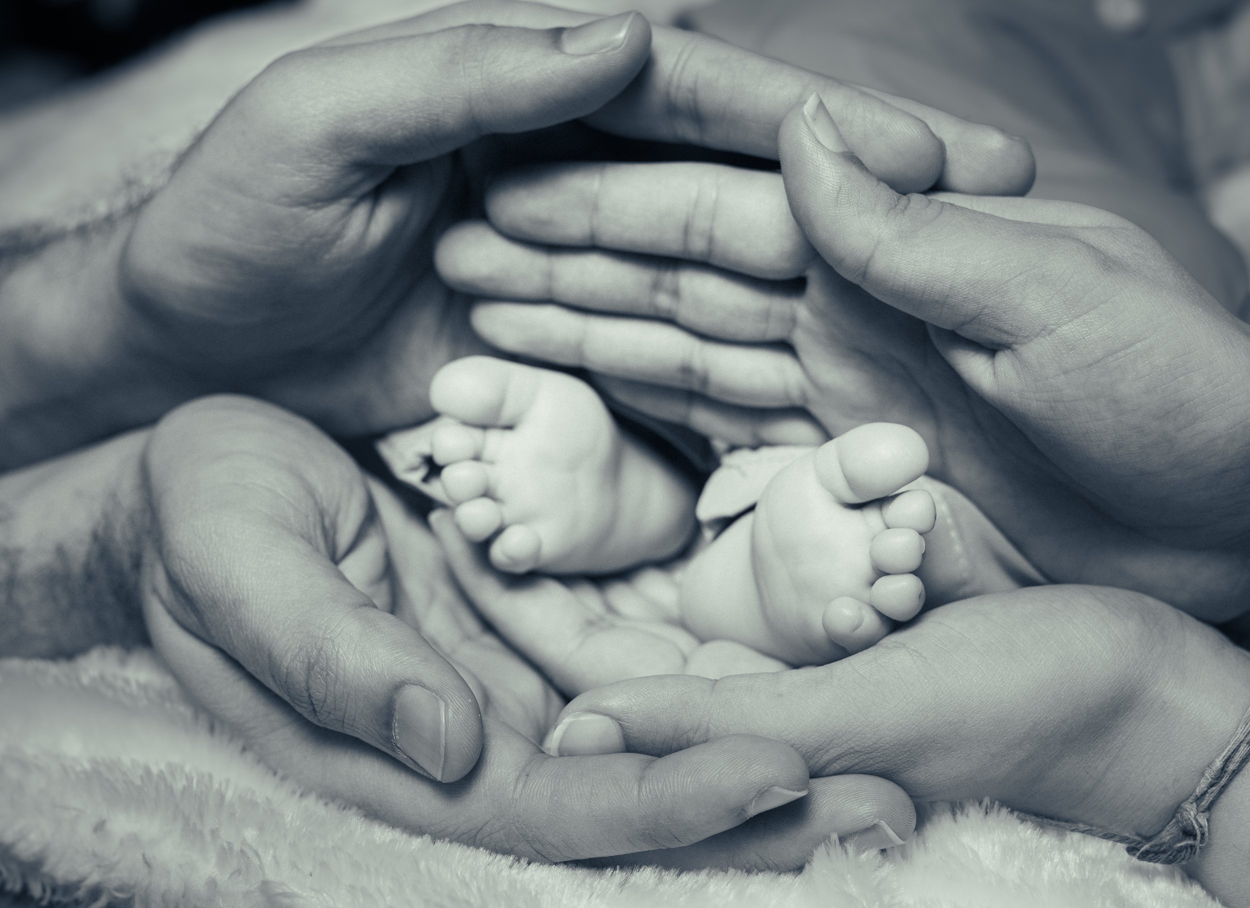 Black and white close-up of parents' hands holding tiny newborn baby feet | Family Photography Kitchener Ontario by Abhijeet Bhullar