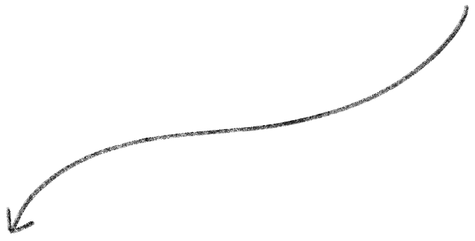 Black and white illustration of a bird in flight, with stylized wings and tail feathers.