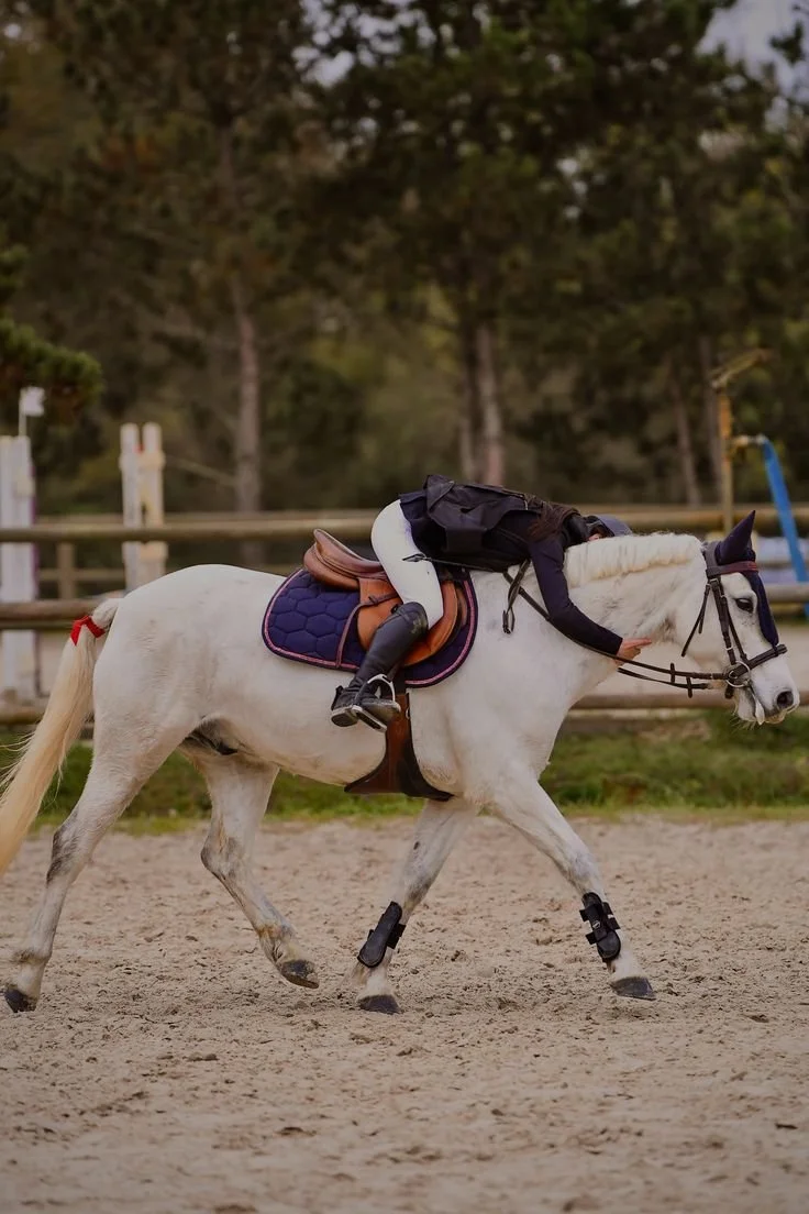 Une cavalière tombe de son cheval lors d'un entraînement dans une écurie, des arbres en arrière-plan.