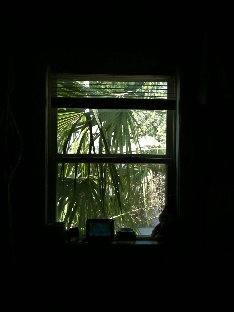 IMG_4232.jpeg