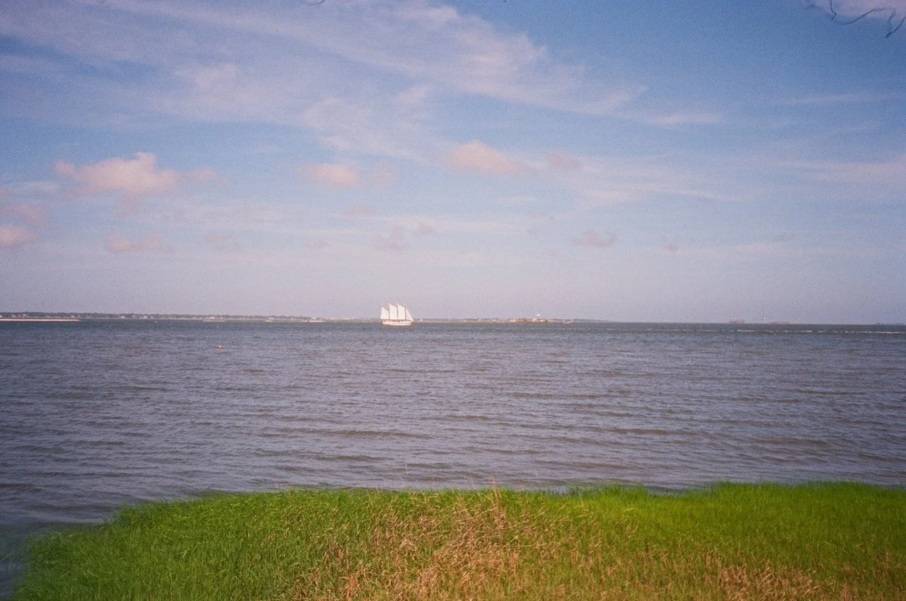 IMG_7687.jpeg