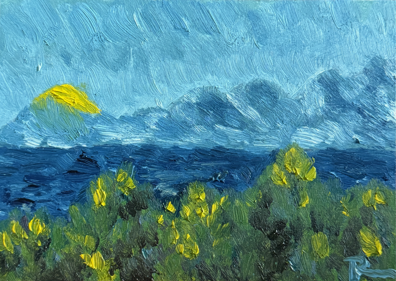 IMG_7535.png